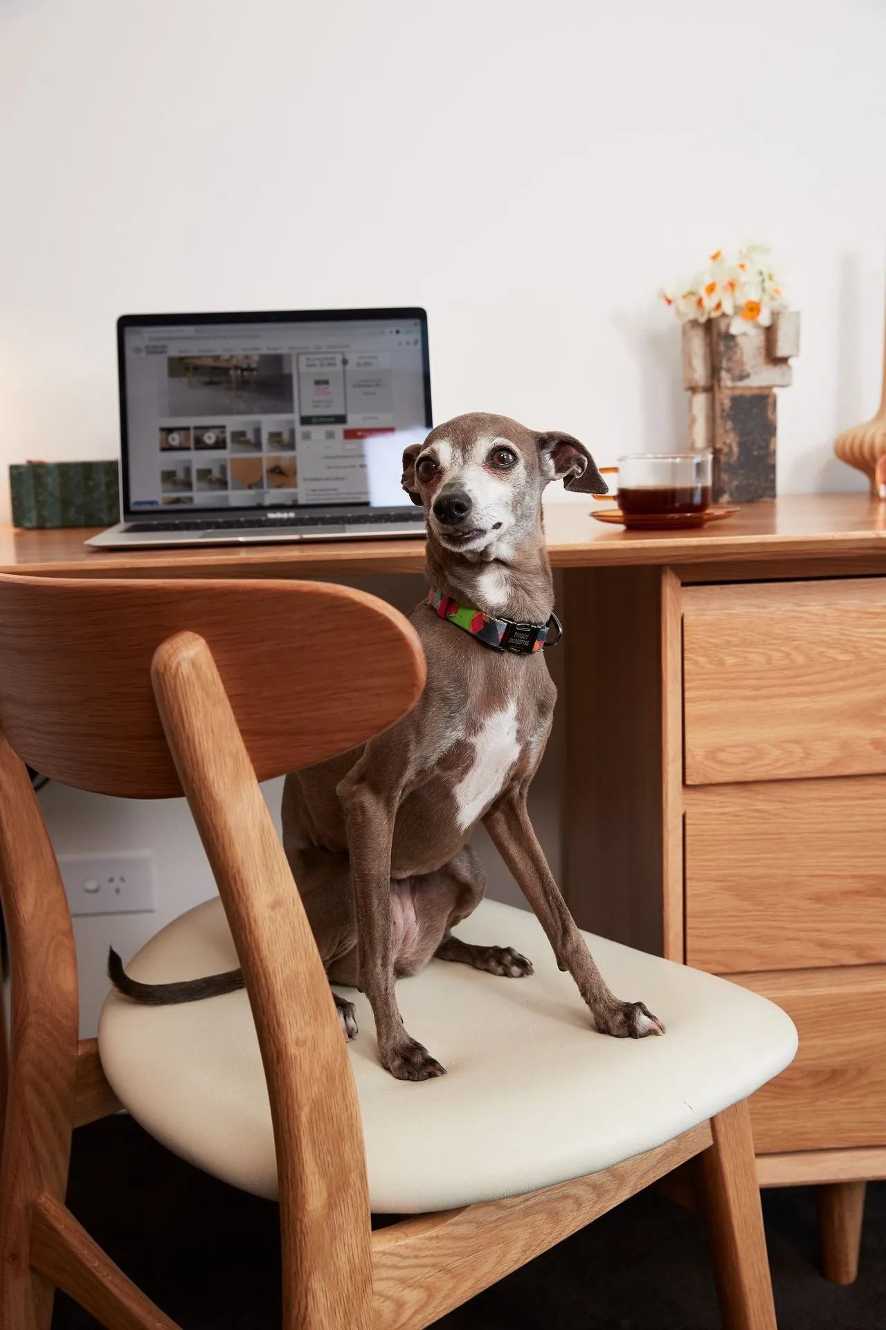 Magnus Dining Chair Cream Leather Solid American Oak