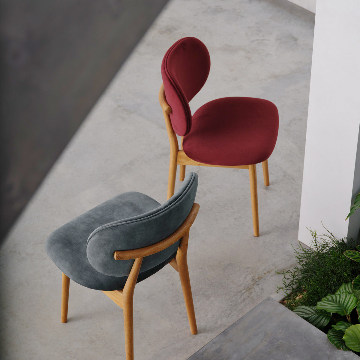 iconbydesign-olivia-dining-chair-oak-seafoam-velvet-DF3AA2-lifestyle-5_sq.jpg