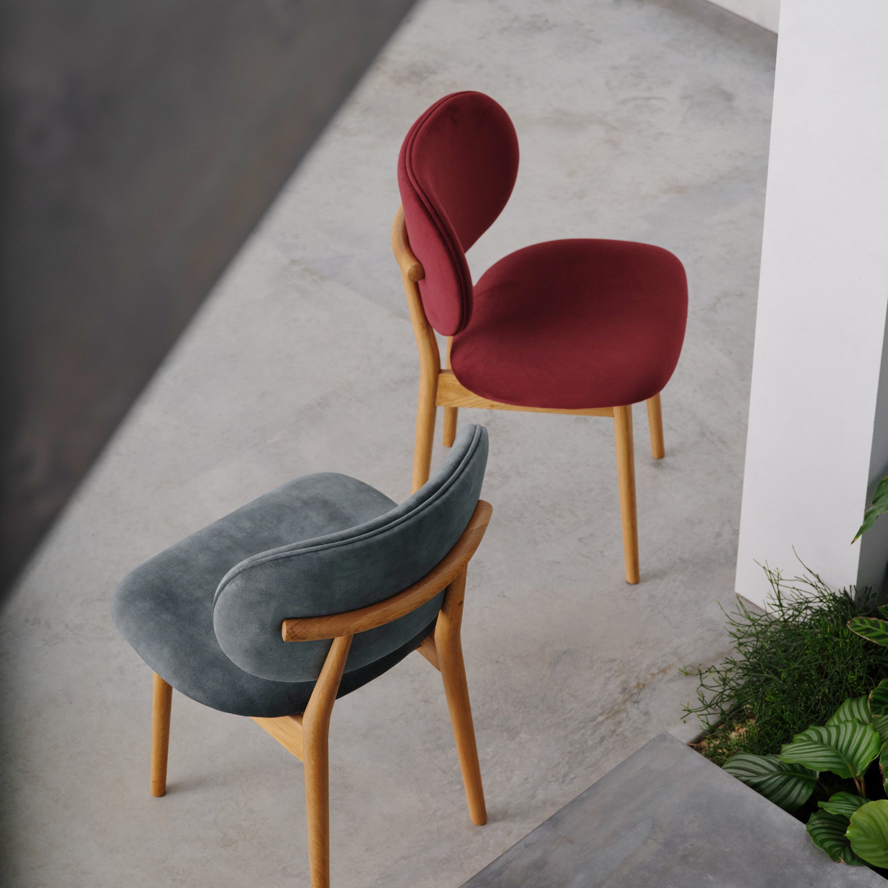 iconbydesign-olivia-dining-chair-oak-seafoam-velvet-DF3AA2-lifestyle-5_sq.jpg